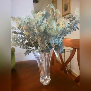 Boston Fern each, but I have 2 left